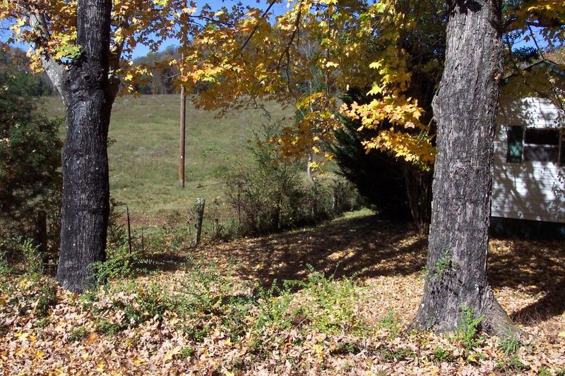 449 Co Rd 401, Madisonville, TN 37354