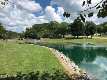 449 Mountain Thrush Dr, Townsend, TN 37882