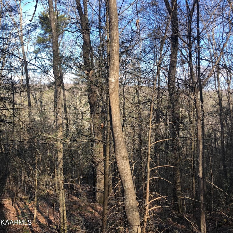 450 Holder Cemetery Rd, Tellico Plains, TN 37385