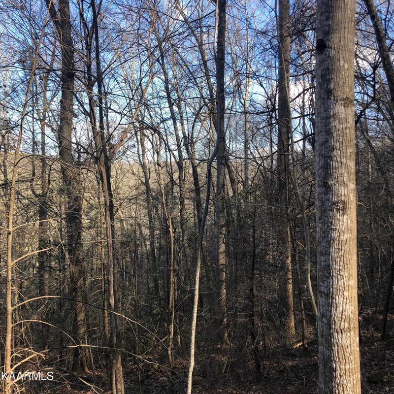 450 Holder Cemetery Rd, Tellico Plains, TN 37385