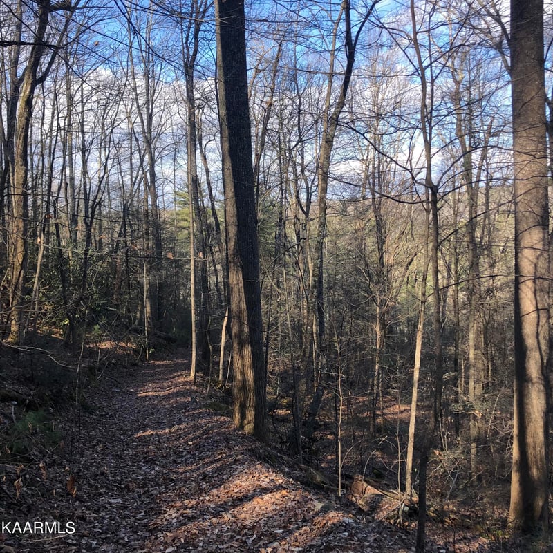 450 Holder Cemetery Rd, Tellico Plains, TN 37385