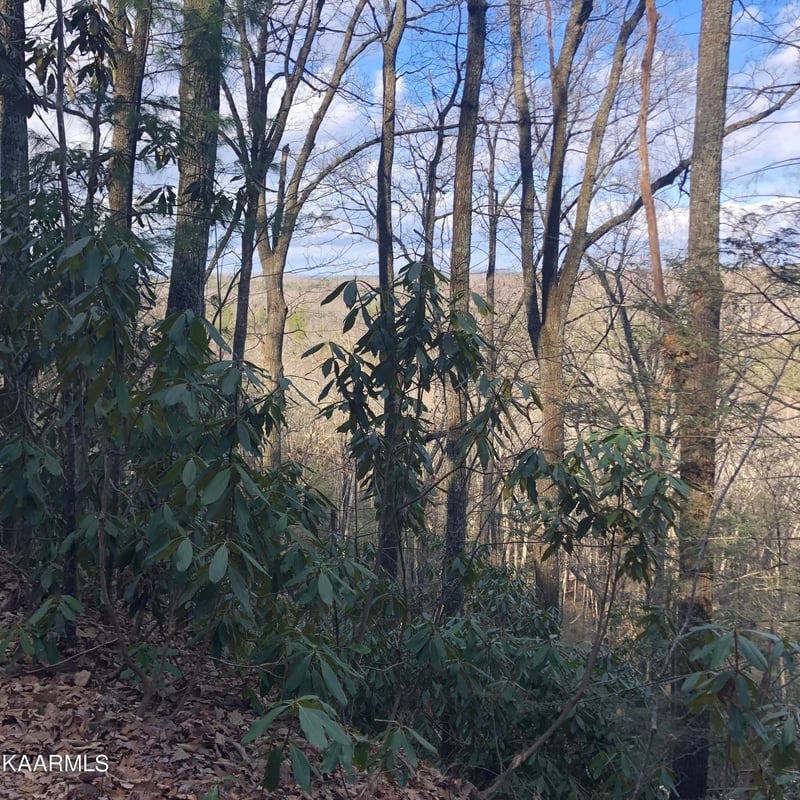450 Holder Cemetery Rd, Tellico Plains, TN 37385