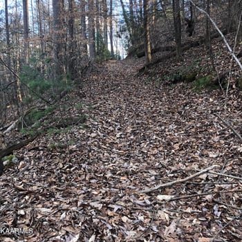 450 Holder Cemetery Rd, Tellico Plains, TN 37385