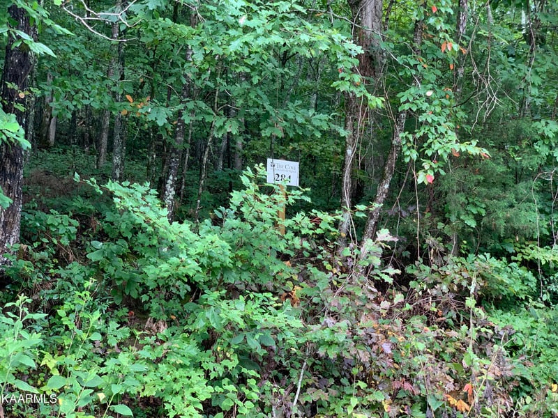 4507 Huffine Rd, Loudon, TN 37774