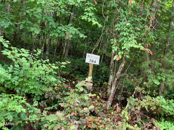 4507 Huffine Rd, Loudon, TN 37774