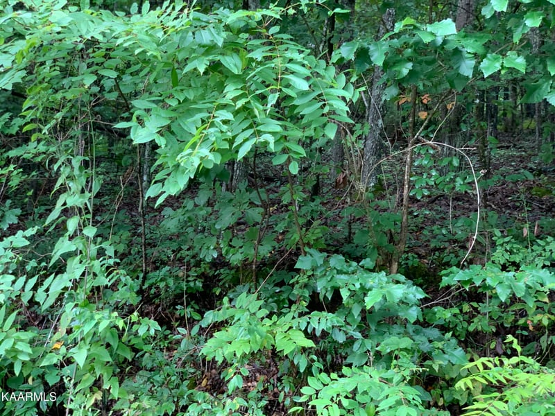 4507 Huffine Rd, Loudon, TN 37774