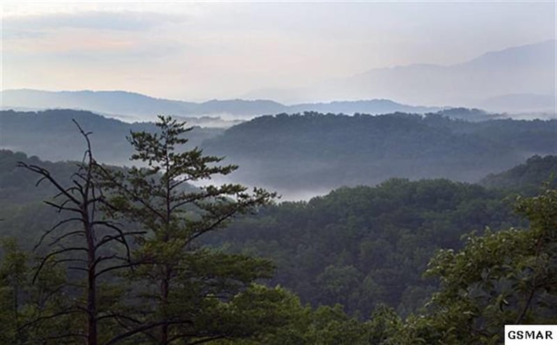 4511 Forest Vista Way, Pigeon Forge, TN 37876
