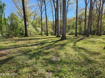 4518 Lonas Dr, Knoxville, TN 37909