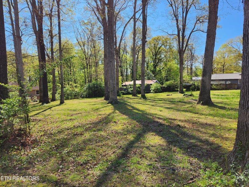 4518 Lonas Dr, Knoxville, TN 37909