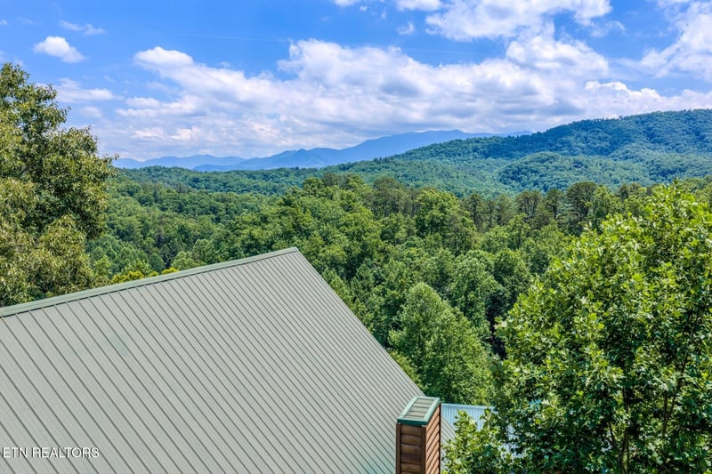 4519 Forest Vista Way, Pigeon Forge, TN 37863