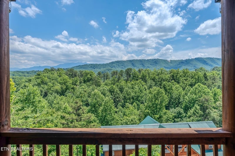 4519 Forest Vista Way, Pigeon Forge, TN 37863