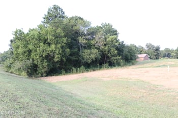 452 S Amhurst Pl, Englewood, TN 37329