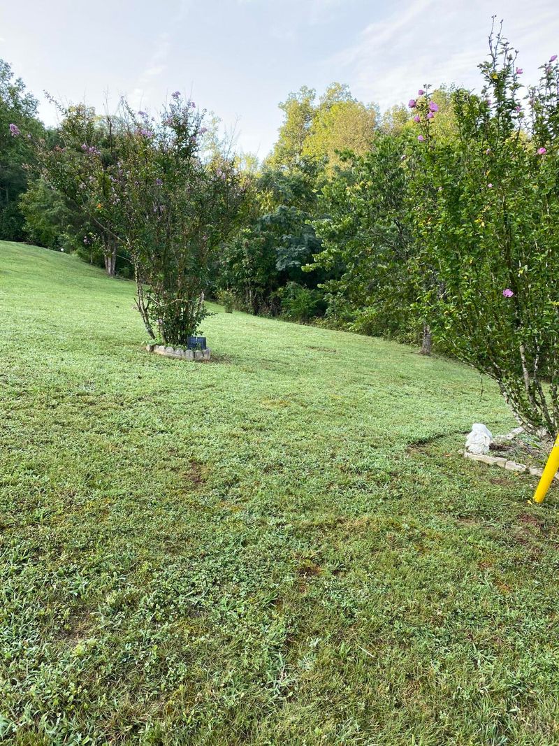 4520 Pleasant Gap Dr, Powell, TN 37849