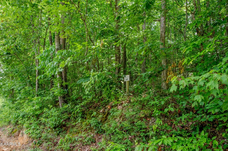 4521 Huffine Rd, Loudon, TN 37774