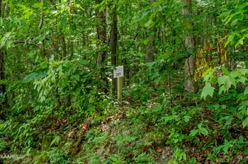 4521 Huffine Rd, Loudon, TN 37774