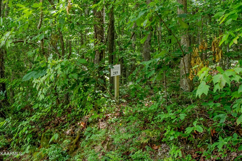 4521 Huffine Rd, Loudon, TN 37774