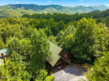 4523 Forest Vista Way, Pigeon Forge, TN 37863