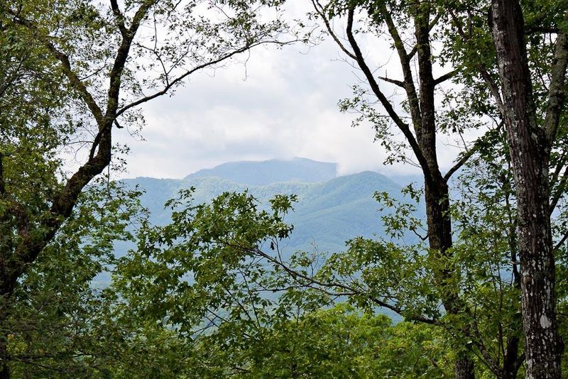 453 P A Proffitt Rd, Gatlinburg, TN 37738