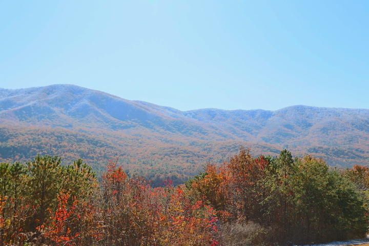 453 Smithfield Rd, Tellico Plains, TN 37385
