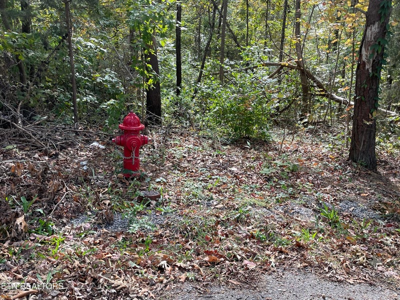 453 Statem Gap Rd, Morristown, TN 37813