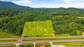4536 E Lamar Alexander Pkwy, Walland, TN 37886