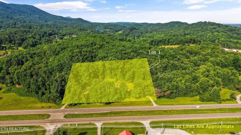 4536 E Lamar Alexander Pkwy, Walland, TN 37886
