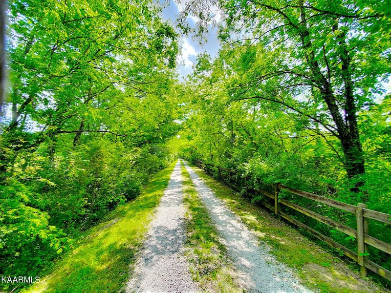 455 White Oak Dr, Seymour, TN 37865