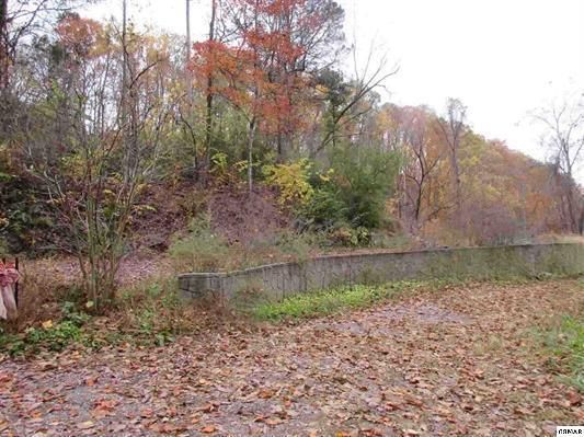 458 Troy Dr, Pigeon Forge, TN 37863