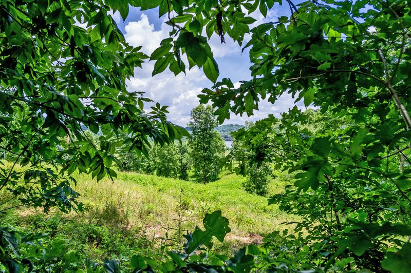 4580 Huffine Rd, Loudon, TN 37774