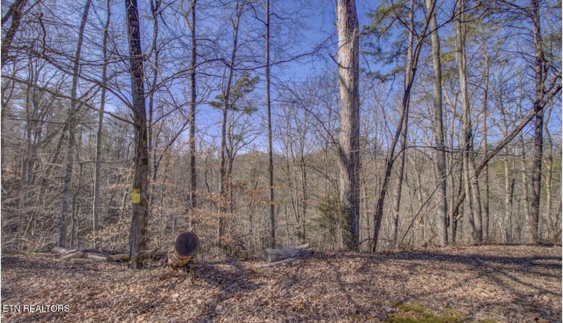 4585 Crooked Creek Way, Maryville, TN 37803