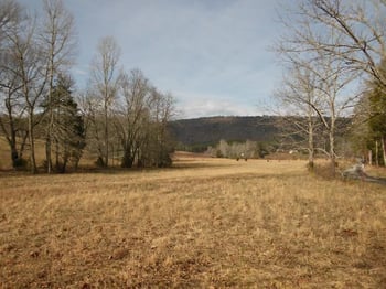 459 Bullet Creek Rd, Reliance, TN 37369