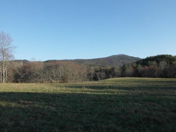 459 Bullet Creek Rd, Reliance, TN 37369
