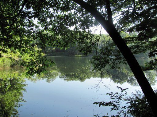 46 Cheshire Ter, Fairfield Glade, TN 38558