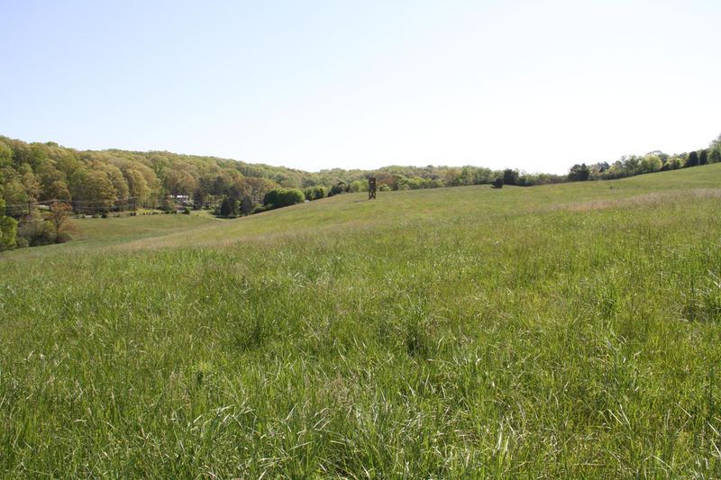 46.62 Acre Vonore Rd, Loudon, TN 37774