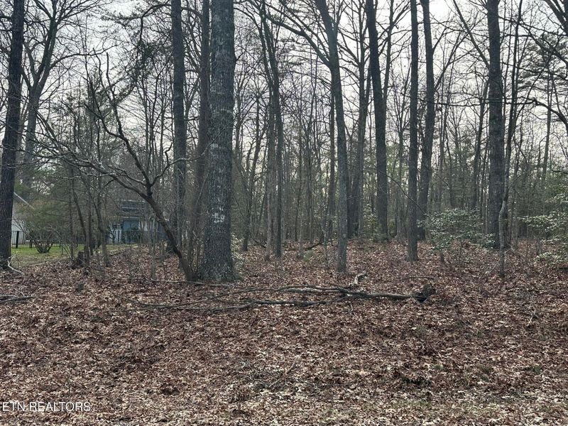 460 Beachwood Dr, Fairfield Glade, TN 38558
