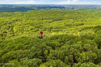 460 Norton X Ing, Maryville, TN 37803