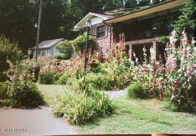 460 Riverview St, Oakdale, TN 37829