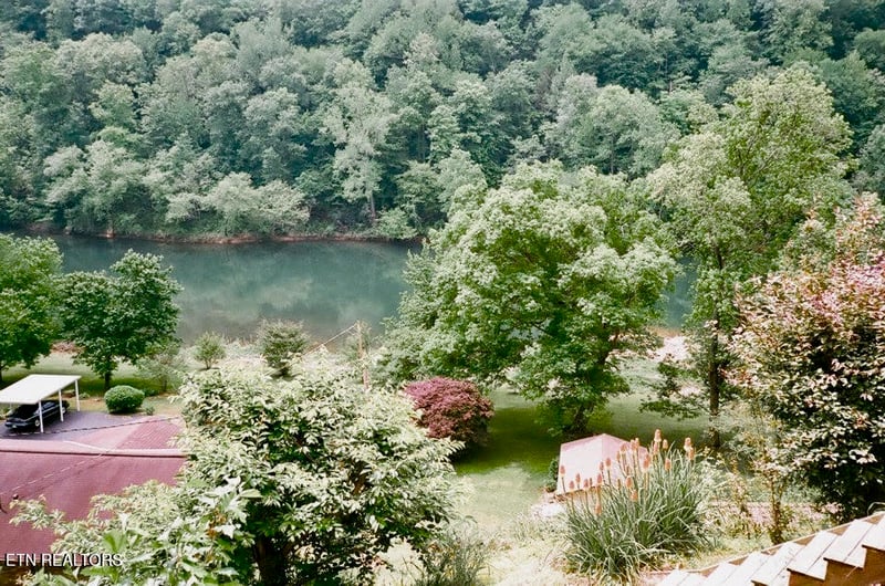 460 Riverview St, Oakdale, TN 37829
