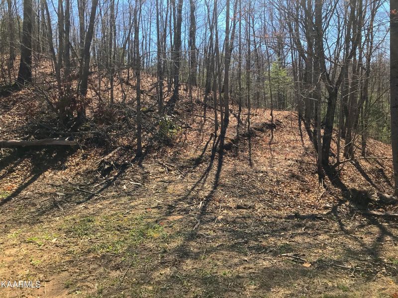 460 Smithfield Rd, Tellico Plains, TN 37385