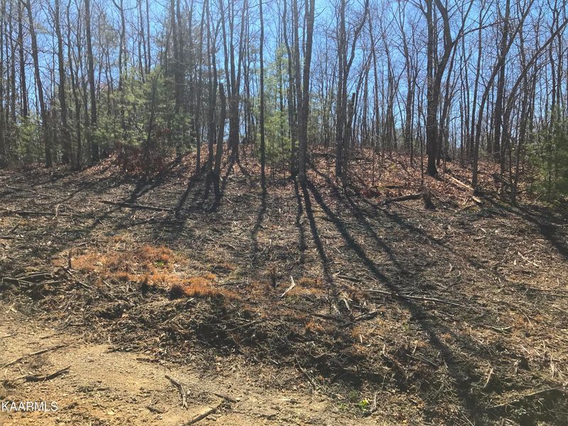 460 Smithfield Rd, Tellico Plains, TN 37385