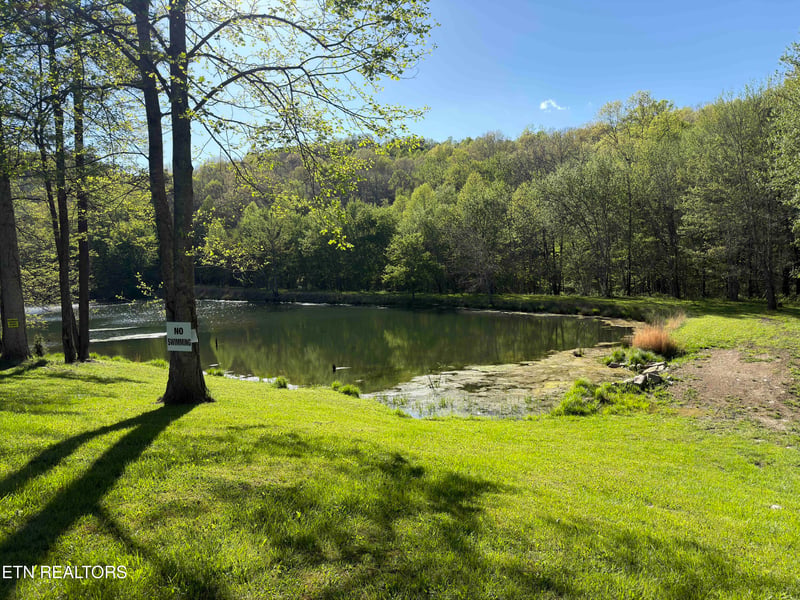 4601 White Oak Rd, Duff, TN 37729