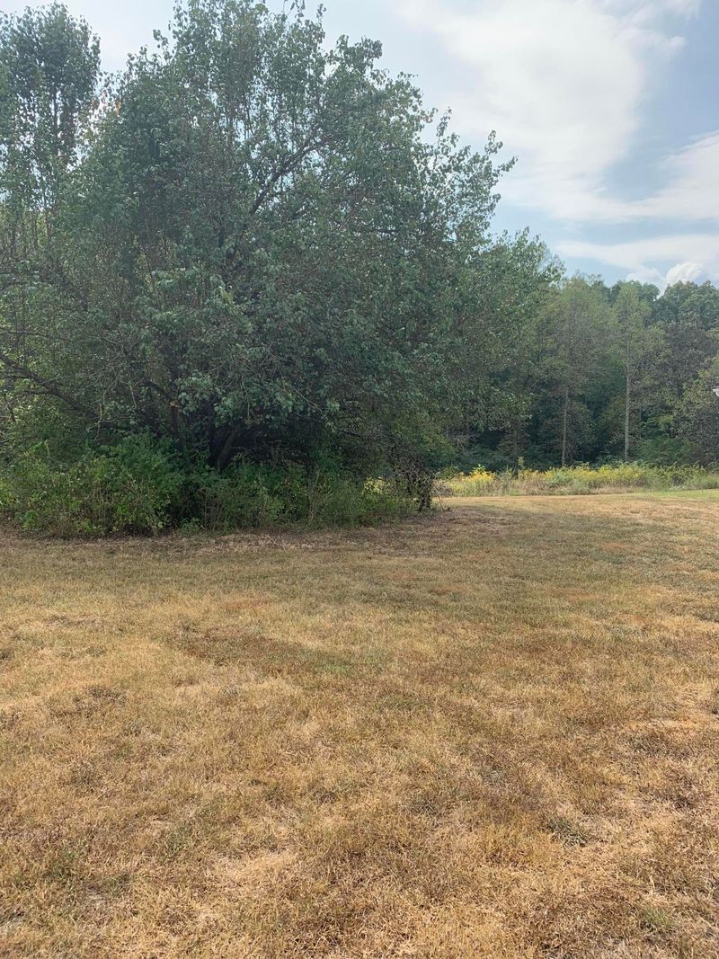 461 County Road 408, Madisonville, TN 37354