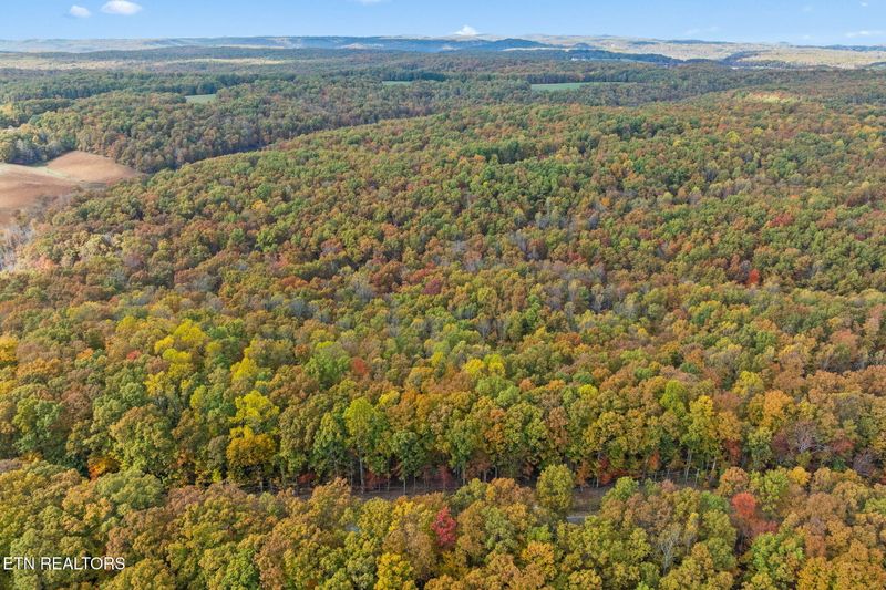 461 E Cove Rd, Monterey, TN 38574