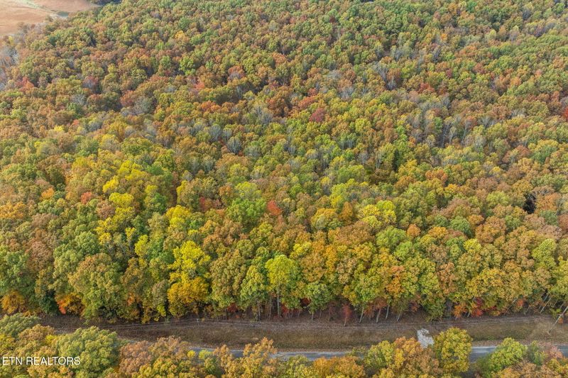461 E Cove Rd, Monterey, TN 38574