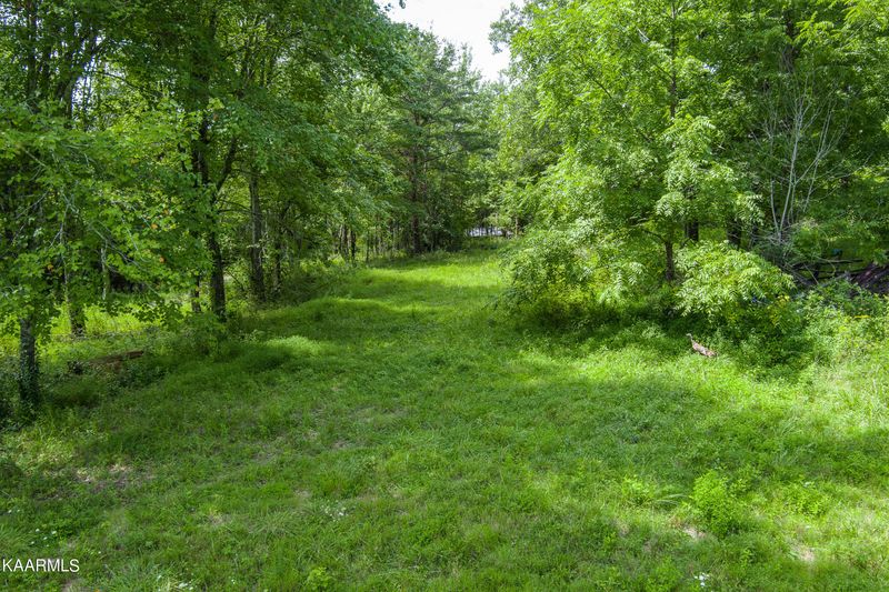 462 Nydeck Rd, Robbins, TN 37852