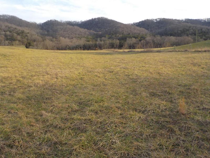 4631 Rutledge Pike, Rutledge, TN 37861