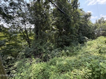 4636 Westover Ter, Knoxville, TN 37914