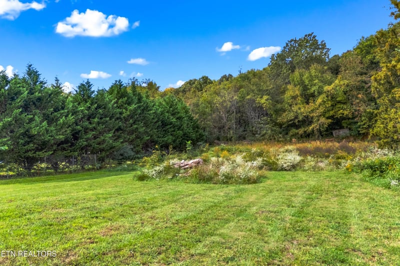 465 Livingston Rd, Bean Station, TN 37708