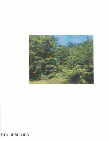 465 Saint George Dr, Crossville, TN 38558