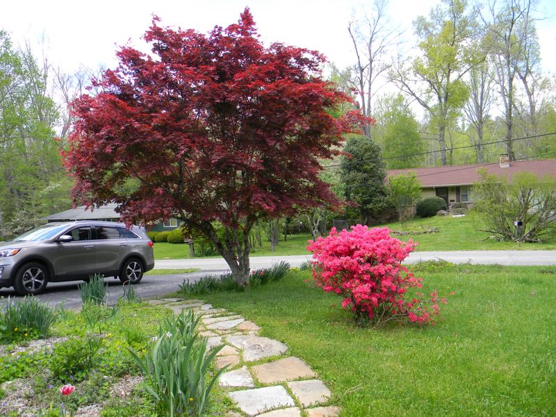 465 Yonside Dr, Pleasant Hill, TN 38578